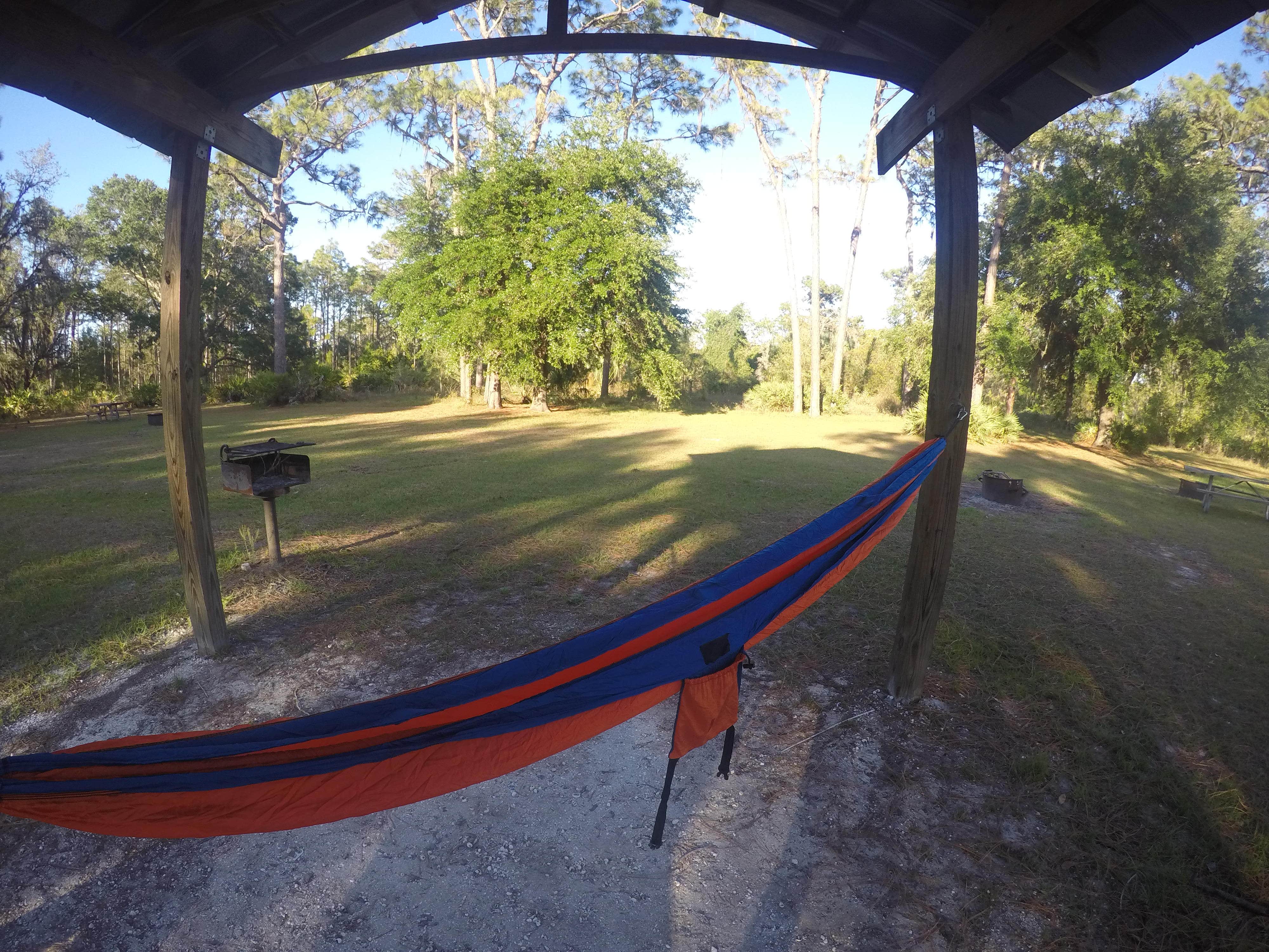 Camper submitted image from Cypress Creek Preserve - 4