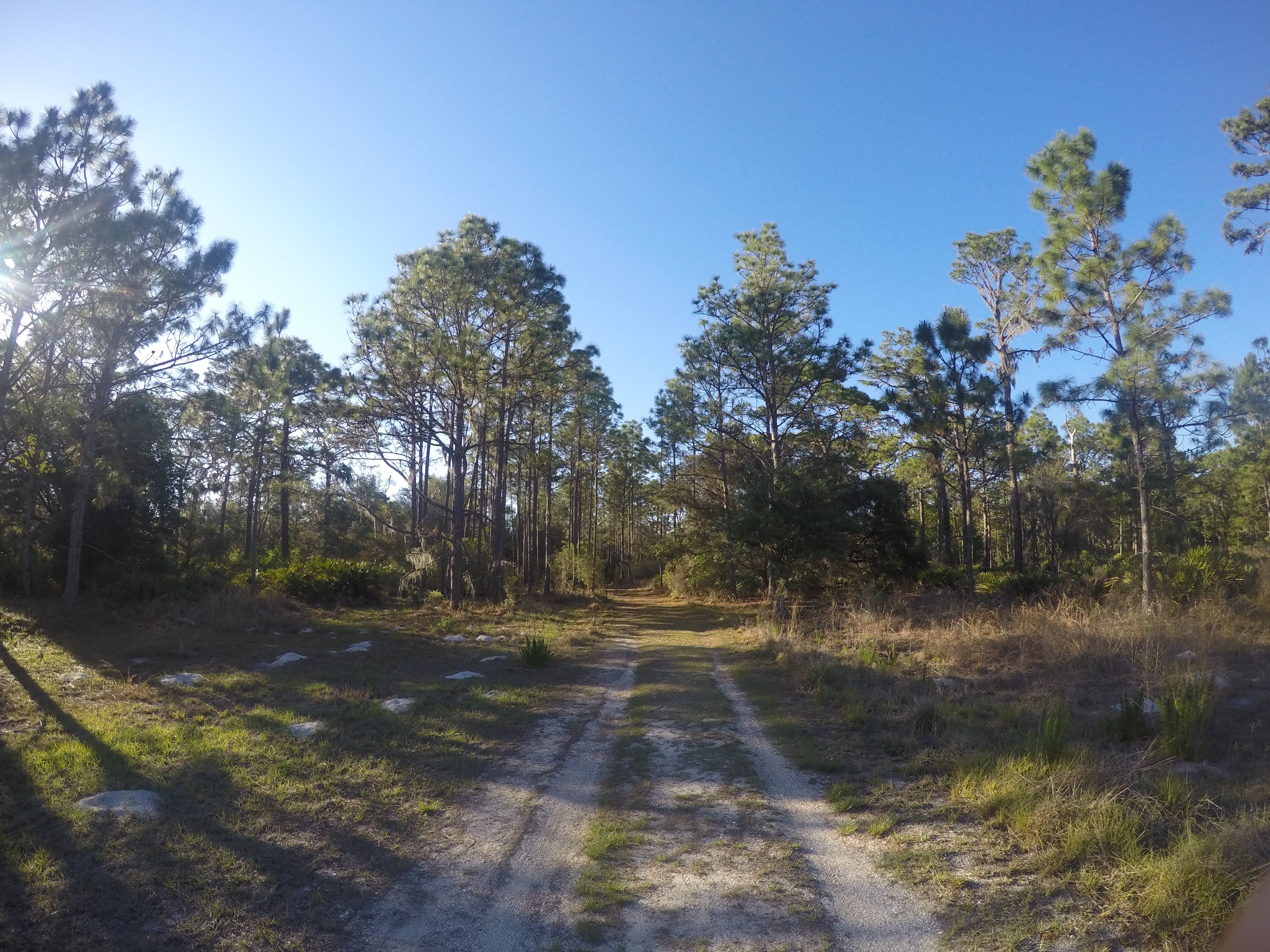 Camper submitted image from Cypress Creek Preserve - 2