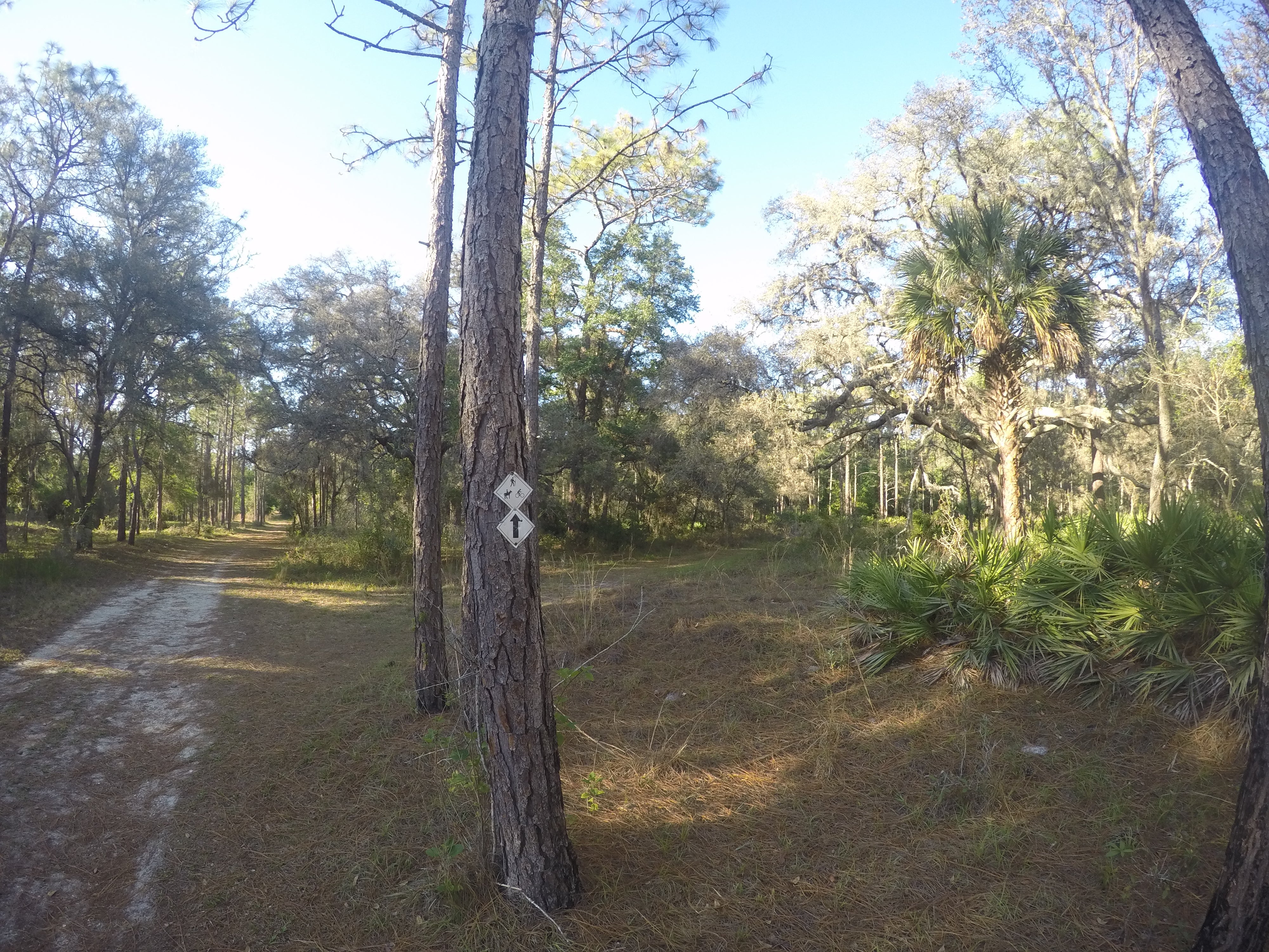 Camper submitted image from Cypress Creek Preserve - 5