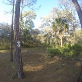 Review photo of Cypress Creek Preserve by Elliott B., May 9, 2017