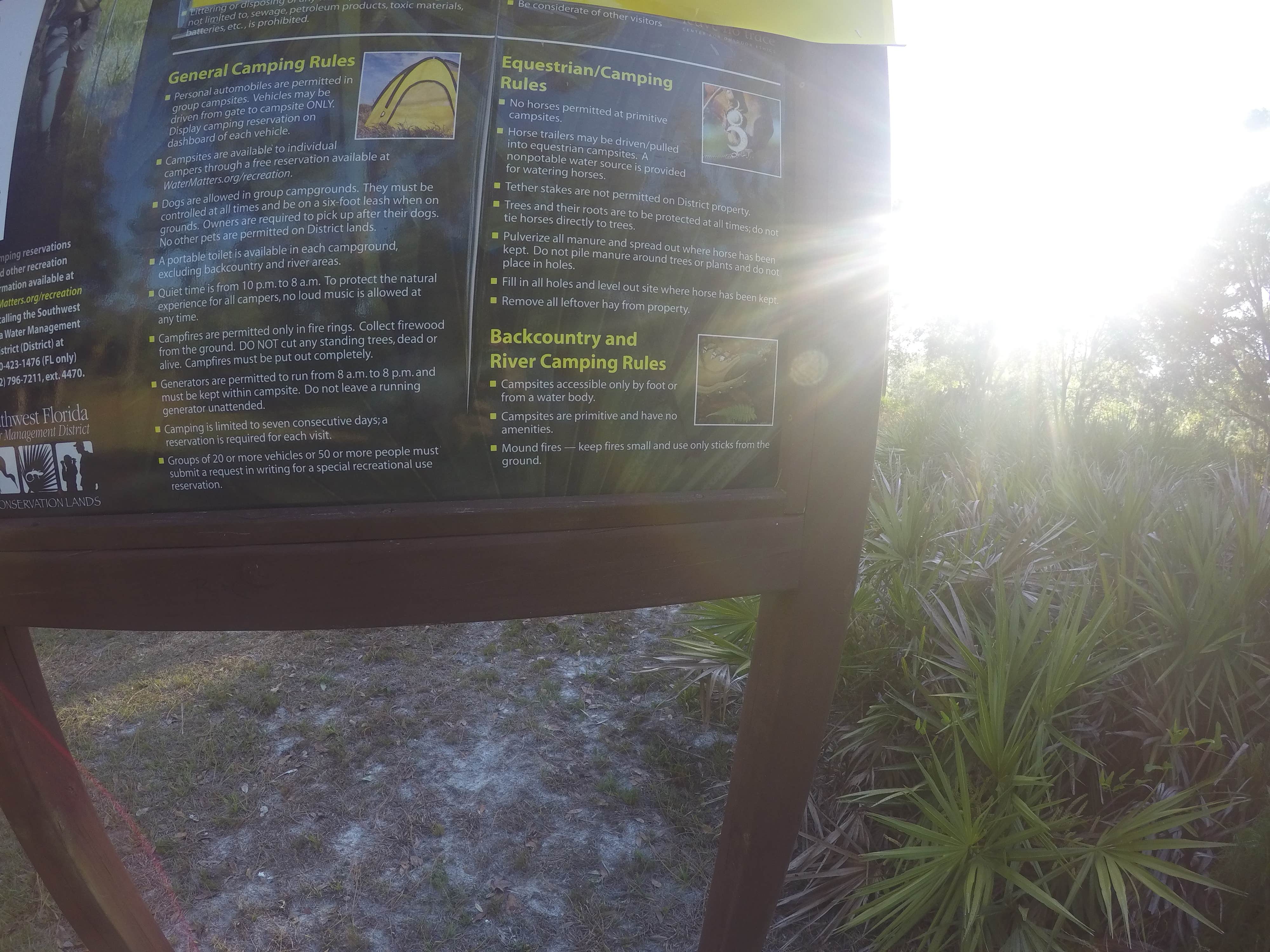 Camper-submitted photo at Cypress Creek Preserve near Lutz, FL