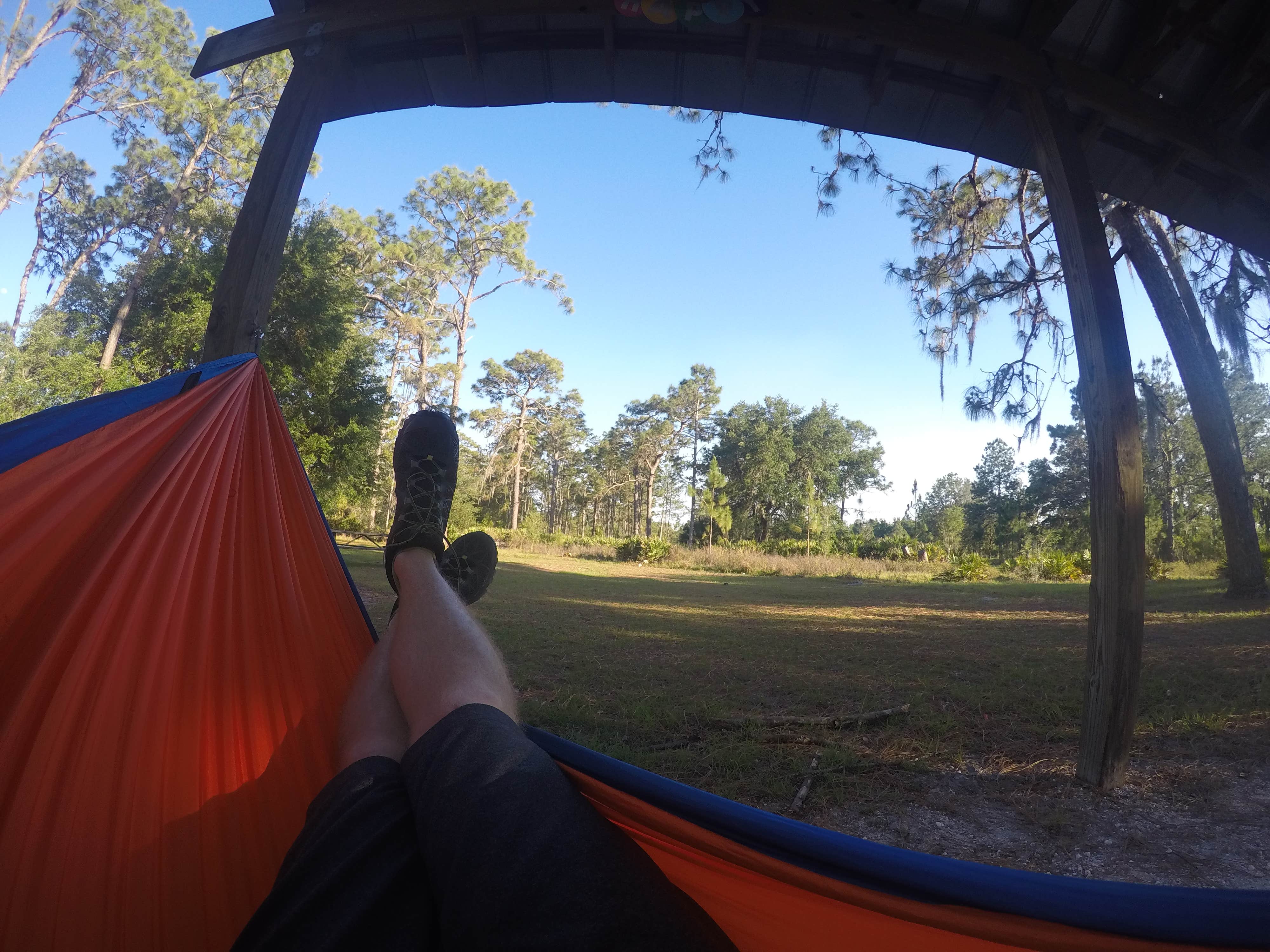 Camper-submitted photo at Cypress Creek Preserve near Lutz, FL