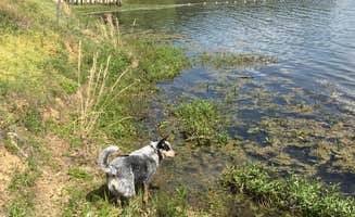 Shelly S.'s photo of camping with pets at Salacoa Creek Park near Allatoona Lake