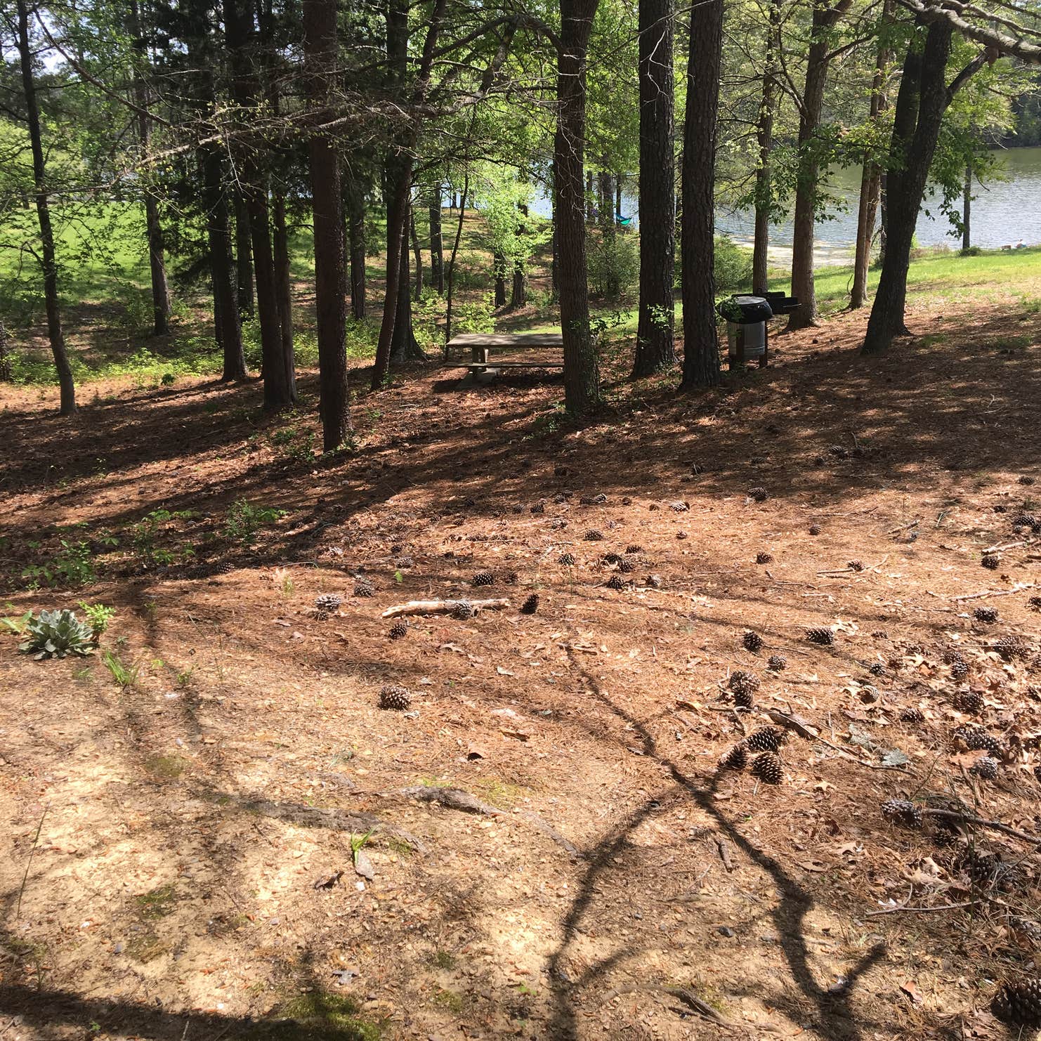 Salacoa Creek Park Camping The Dyrt