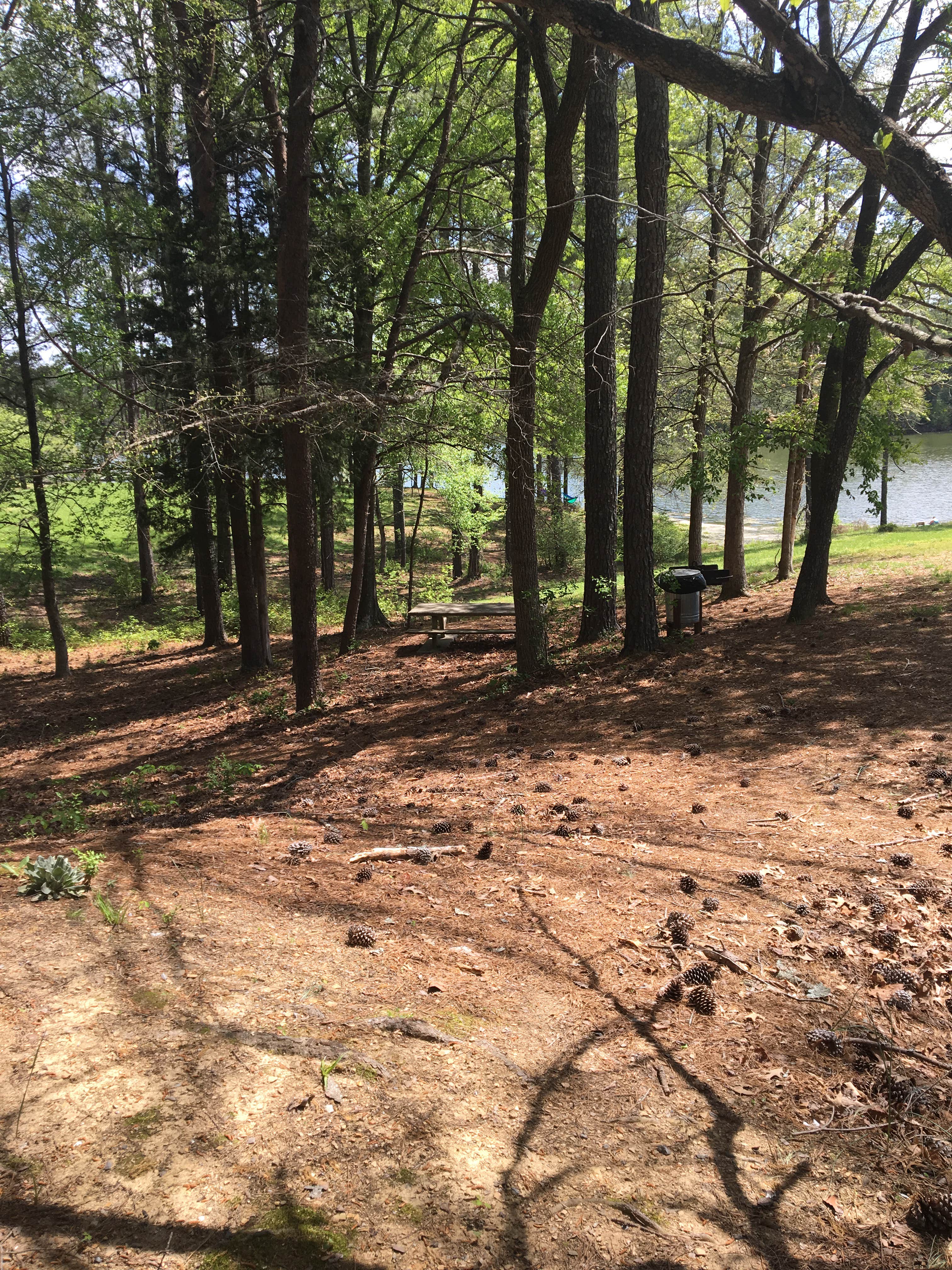 Camper submitted image from Salacoa Creek Park - 4