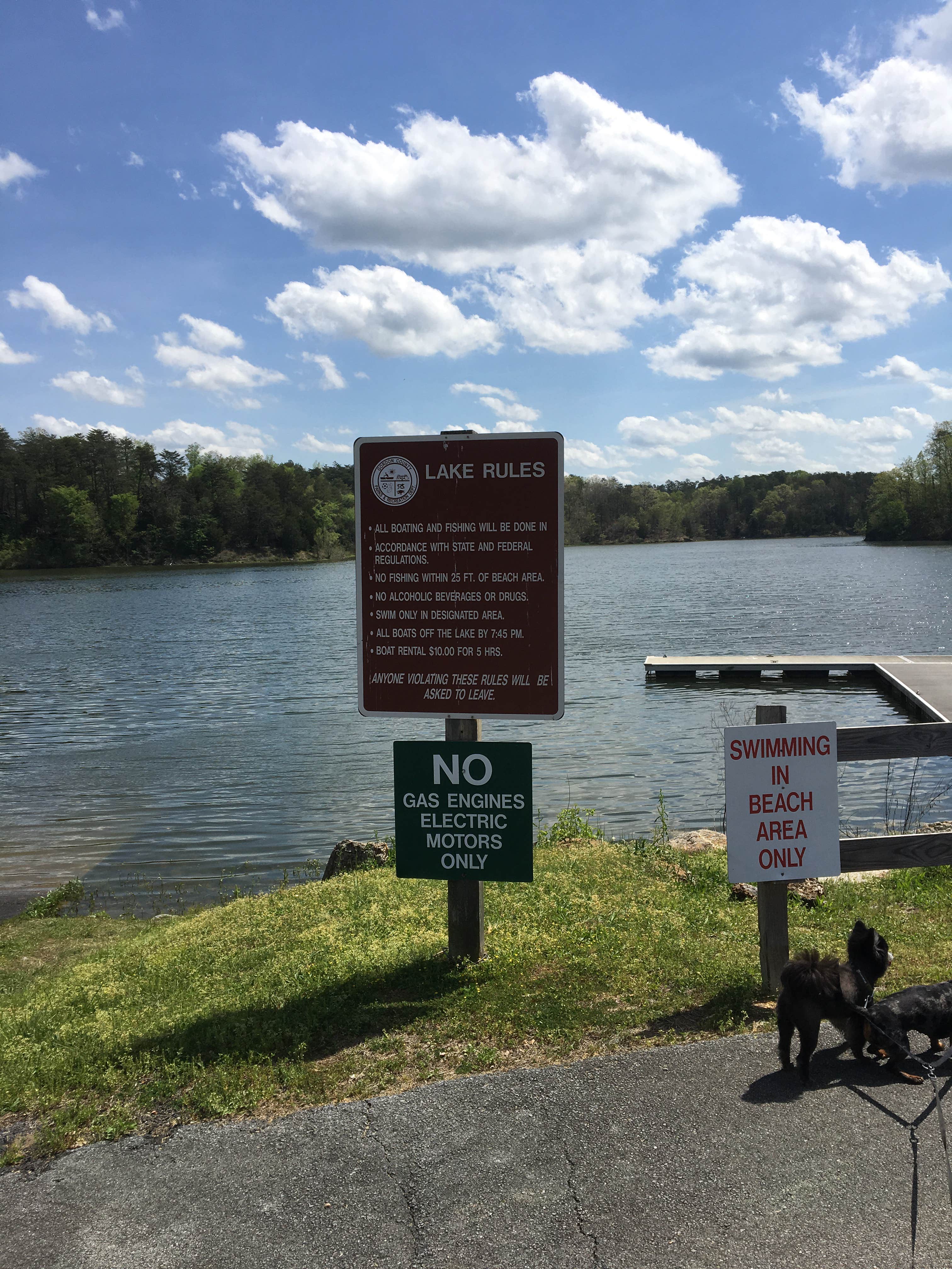 Camper-submitted photo at Salacoa Creek Park near Rydal, GA