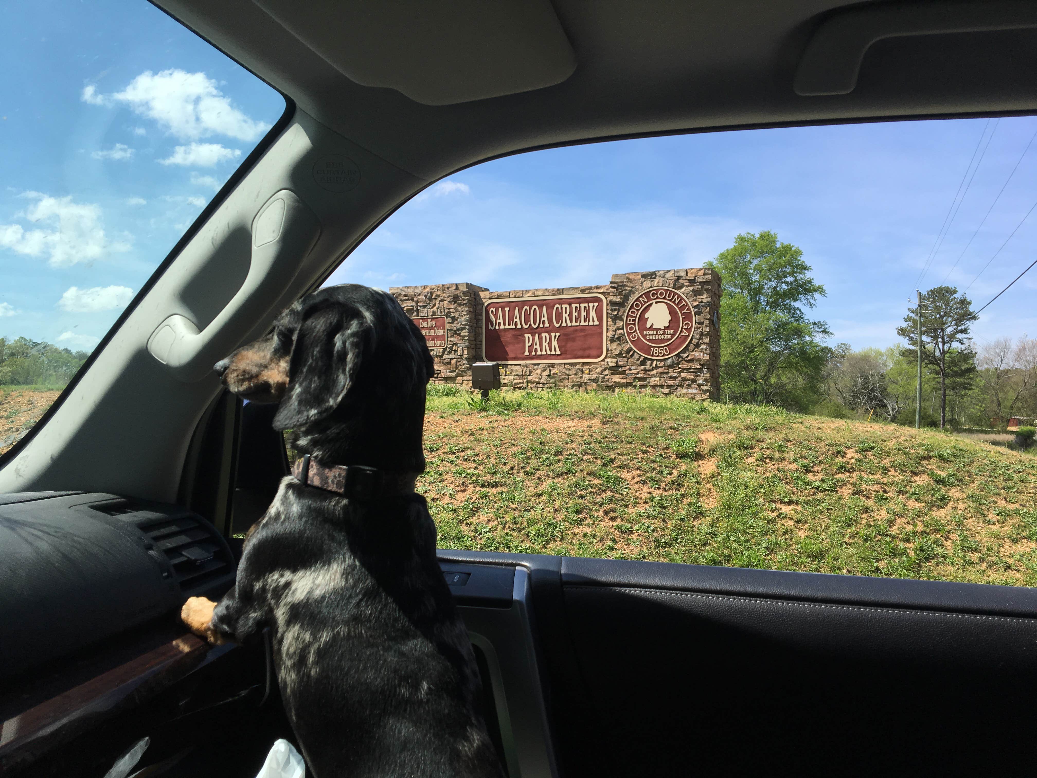 Camper-submitted photo at Salacoa Creek Park near Rydal, GA