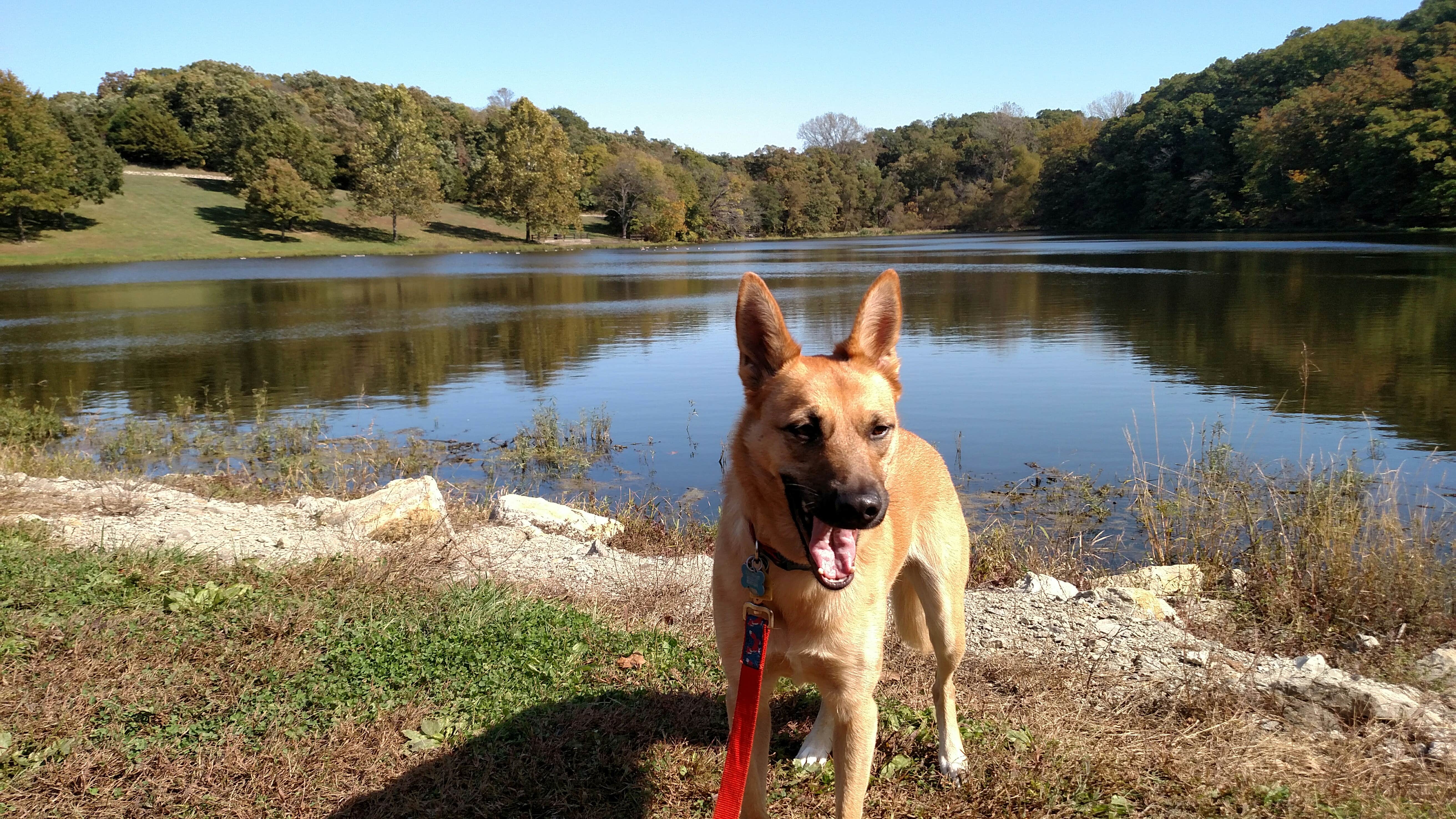 Camper-submitted photo at Wallace State Park Campground near Plattsburg, MO
