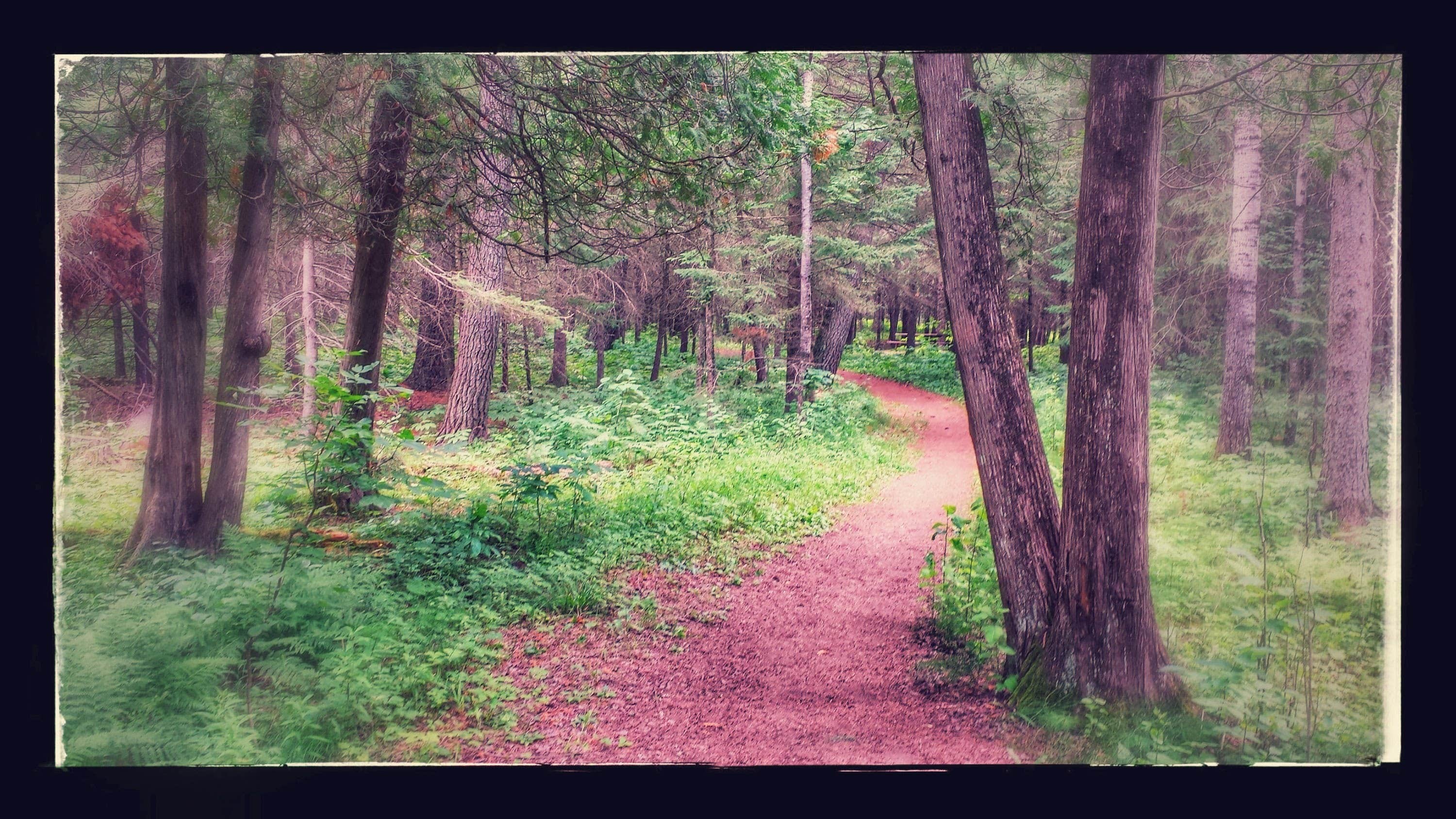 Camper submitted image from Jay Cooke State Park Campground - 2