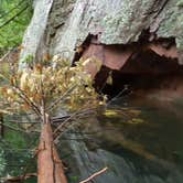 Review photo of Superior National Forest Fall Lake Campground by Conor P., May 9, 2017