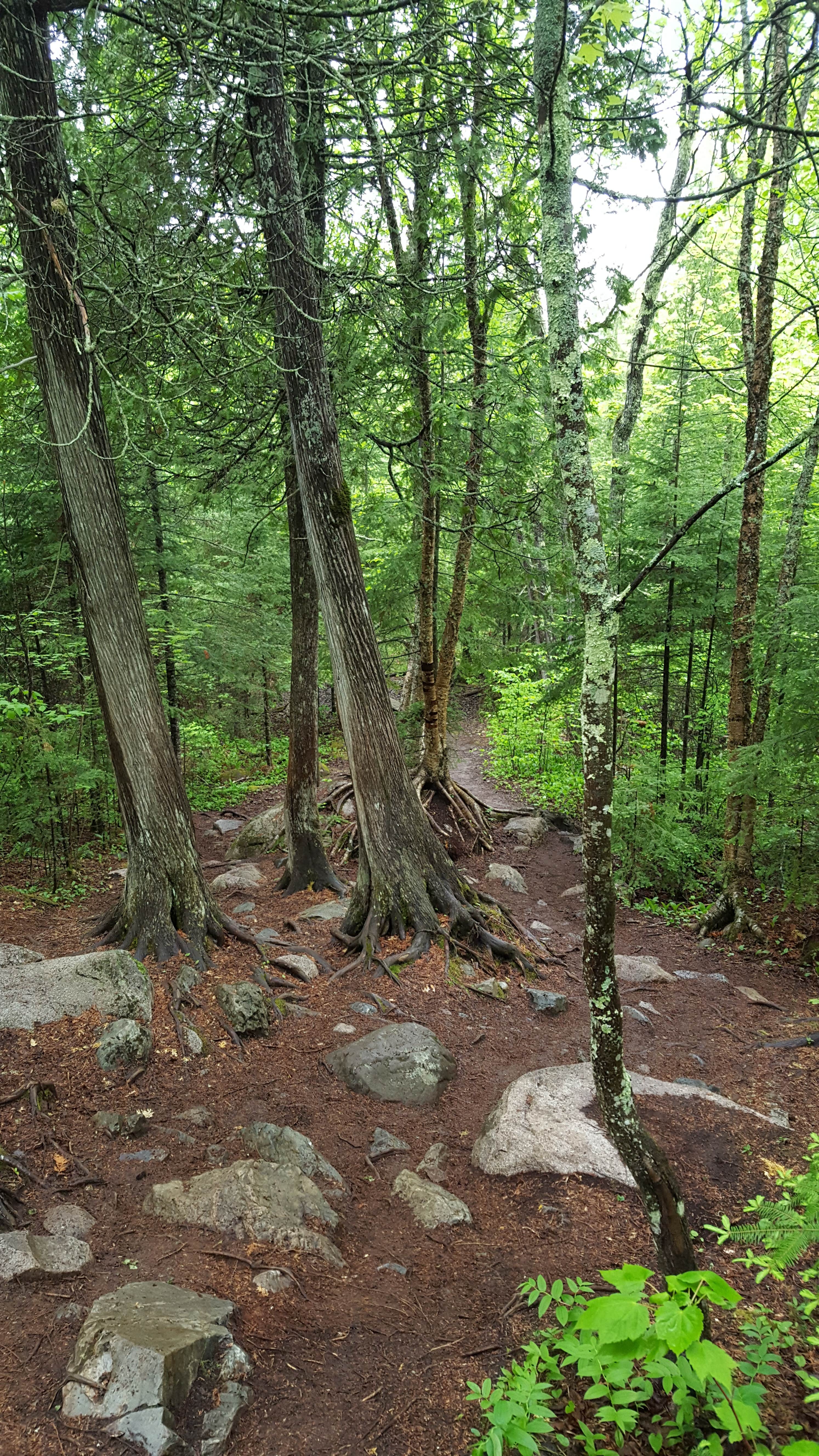 Minneiska Campground — Whitewater State Park