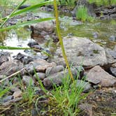 Review photo of Bear Paw Campground — Itasca State Park by Conor P., May 9, 2017