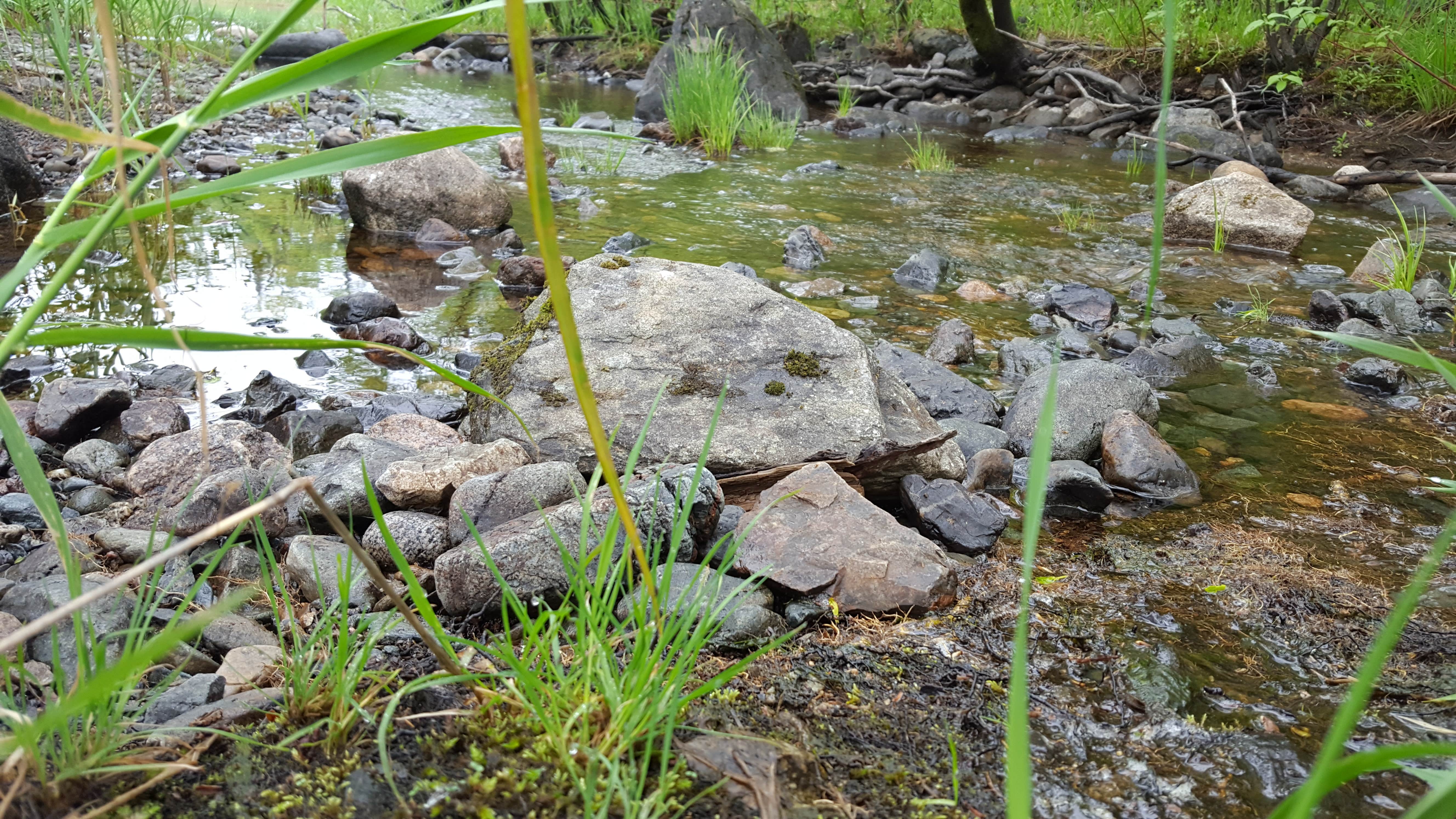 Camper submitted image from Bear Paw Campground — Itasca State Park - 3