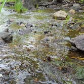 Review photo of Bear Paw Campground — Itasca State Park by Conor P., May 9, 2017