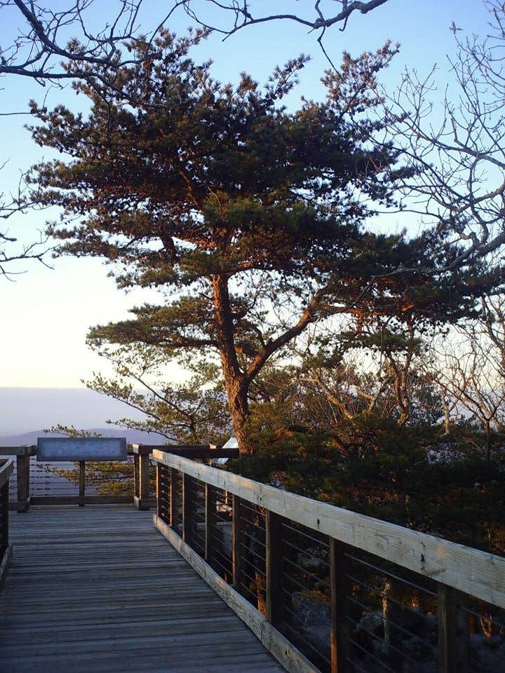 Camper submitted image from Upper Improved Campground — Cheaha State Park - 5