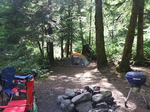 Heather D.'s photo at Shady Cove Campground near Sublimity, OR