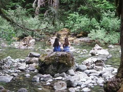 Camper submitted image from Shady Cove Campground - 1