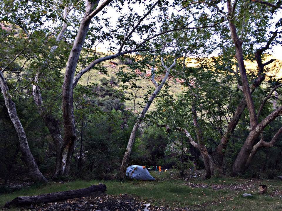 Travis D.'s photo at Peppersauce Campground near San Manuel, AZ