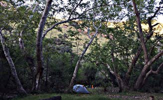 Travis D.'s photo at Peppersauce Campground near San Manuel, AZ