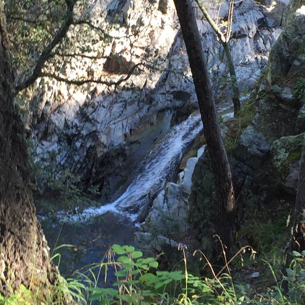 West Turkey Creek Dispersed Camping Pearce, AZ The Dyrt