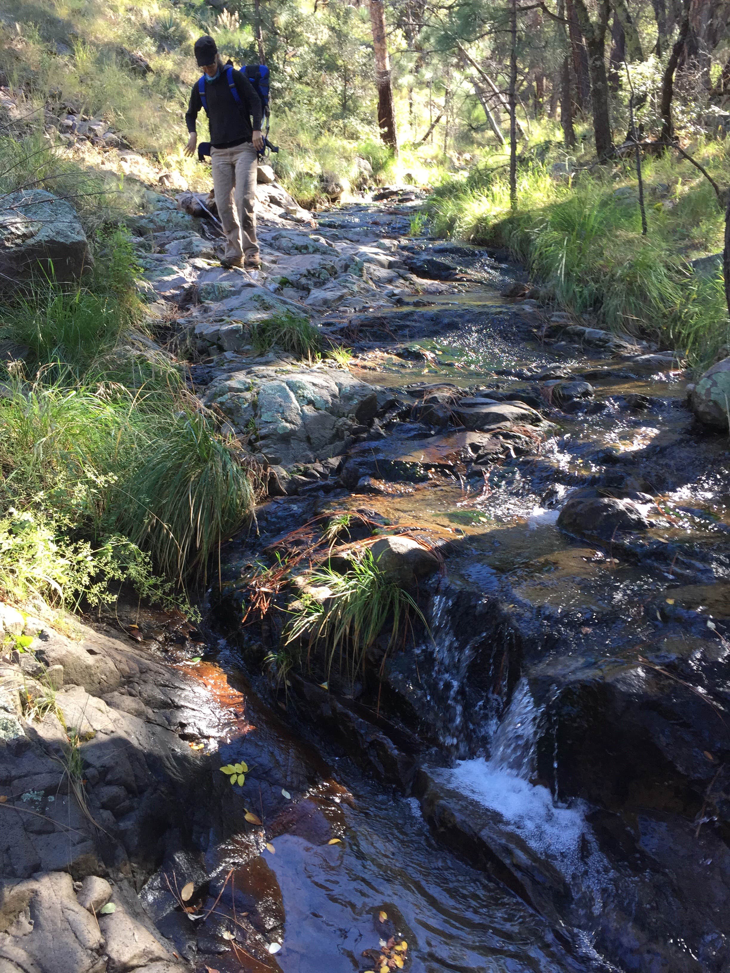 Camper submitted image from West Turkey Creek Dispersed - 2