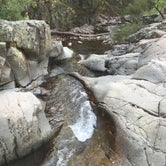 Review photo of West Turkey Creek Dispersed by Travis D., May 9, 2017