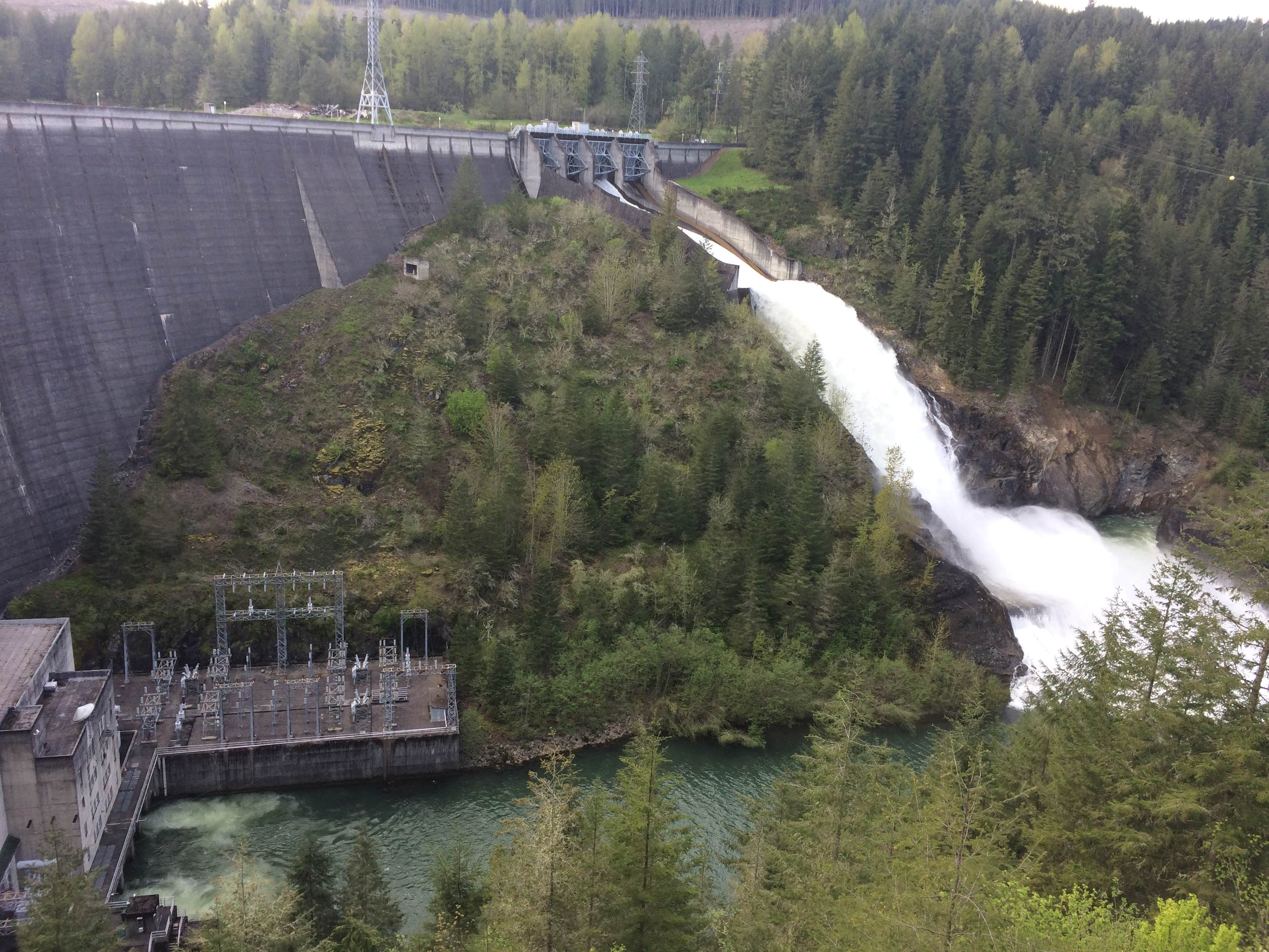 Camper submitted image from Alder Lake Park - 3