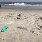 Review photo of River's End Campground & RV Park by Michelle H., May 10, 2017