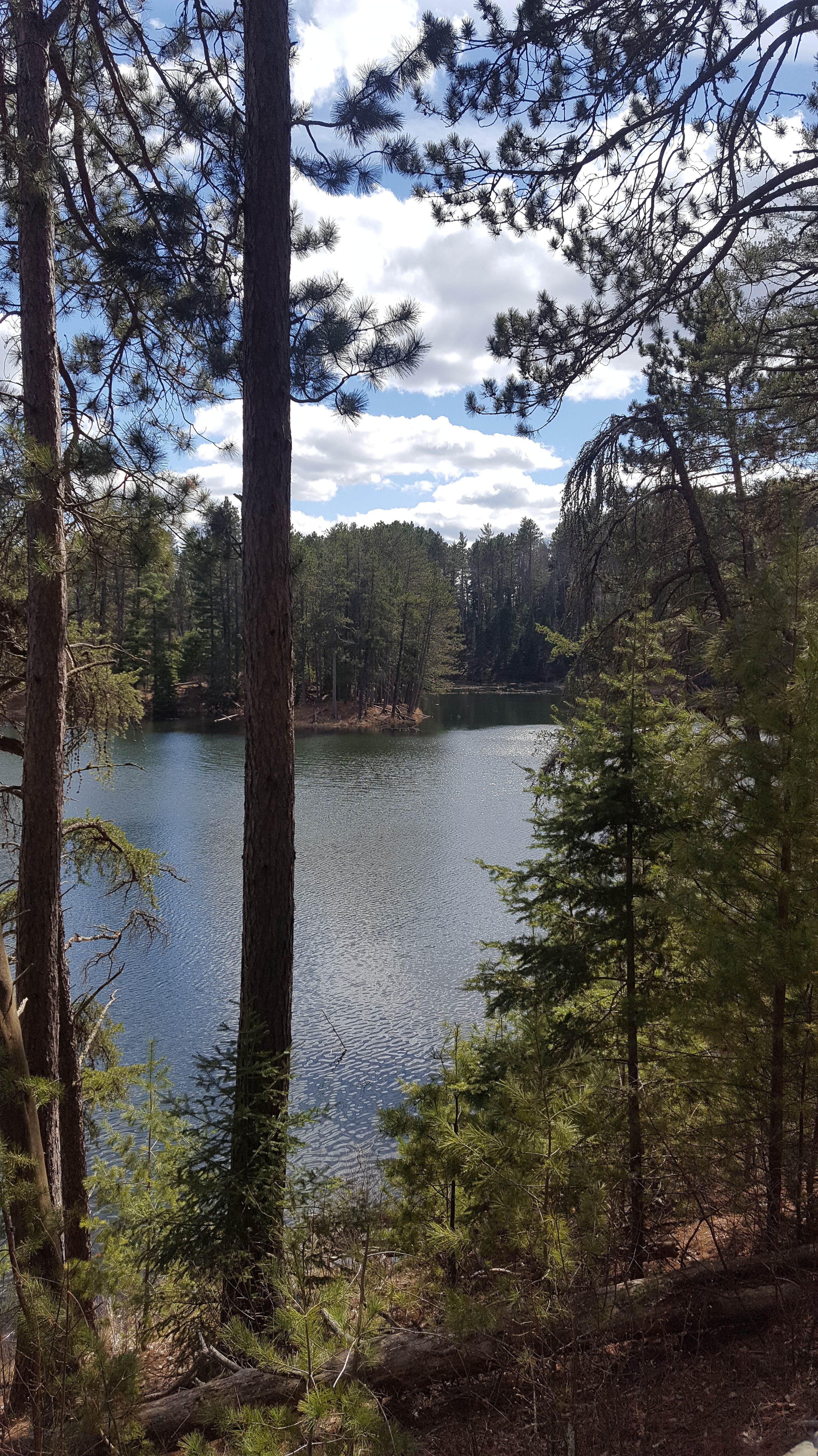 Camper submitted image from Bear Head Lake State Park Campground - 2