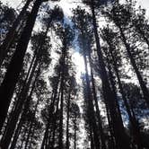Review photo of Bear Head Lake State Park Campground by Mike K., May 10, 2017