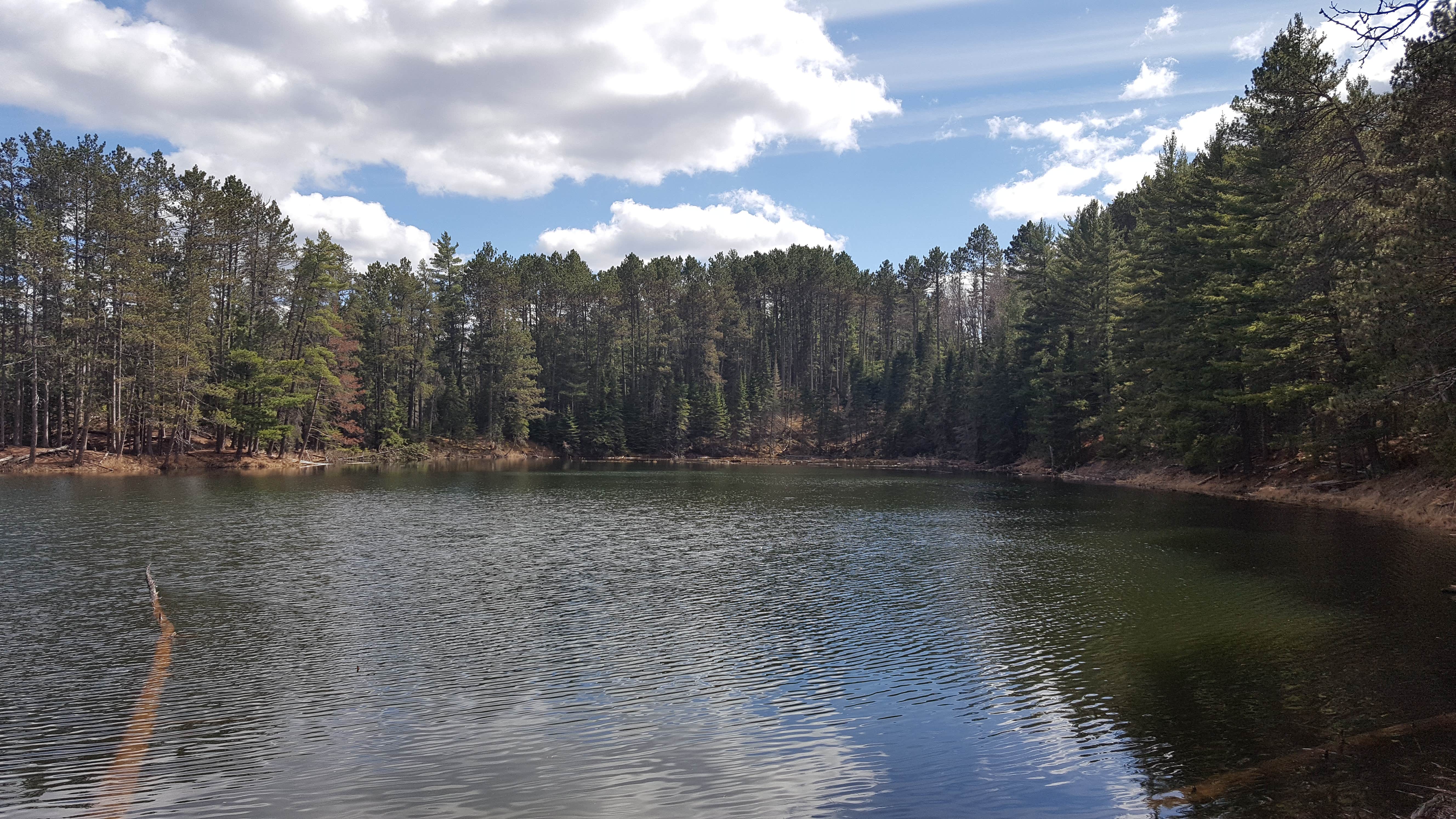 Camper submitted image from Bear Head Lake State Park Campground - 3