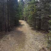 Review photo of Bear Head Lake State Park Campground by Mike K., May 10, 2017