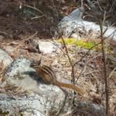 Review photo of Bear Head Lake State Park Campground by Mike K., May 10, 2017