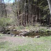 Review photo of Stokes State Forest by Thomas M., May 10, 2017