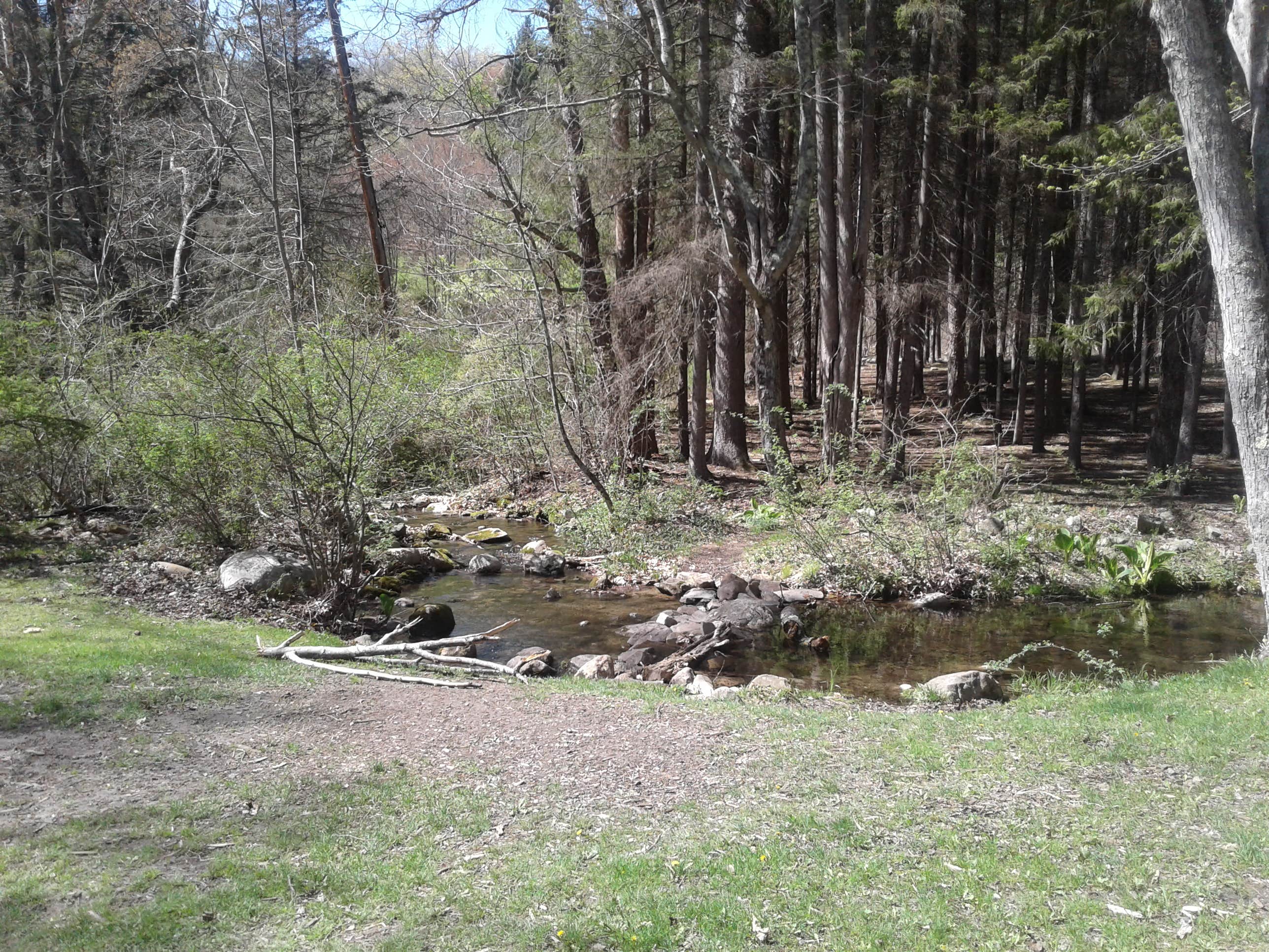 Camper submitted image from Stokes State Forest - 4