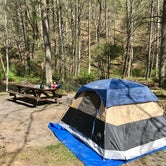 Review photo of North Creek Campground by Graham D., May 10, 2017