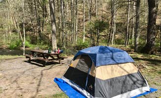 Graham D.'s photo at North Creek Campground near Natural Bridge, VA