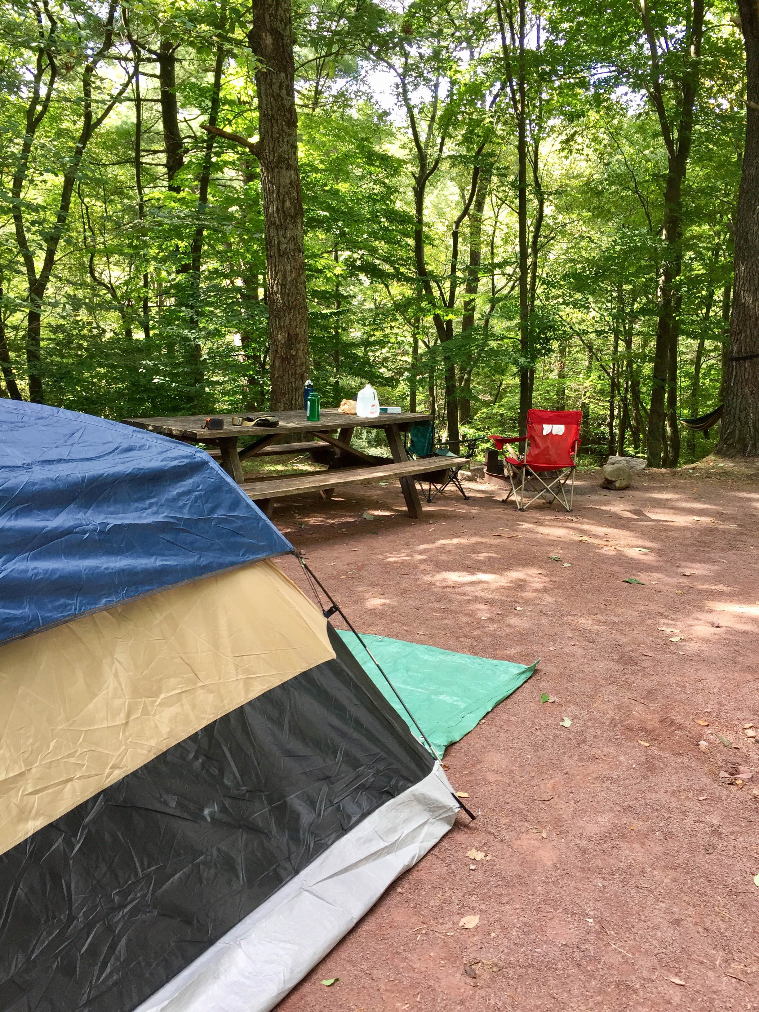 Camper submitted image from Hickory Run State Park Campground - 4