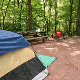 Review photo of Hickory Run State Park Campground by Graham D., May 10, 2017