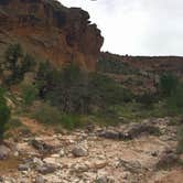 Review photo of North Fruita Desert Upper Campground by Brogan R., May 10, 2017