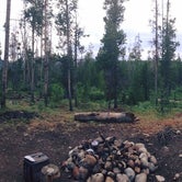 Review photo of Pettit Lake Campground by Simran D., May 10, 2017