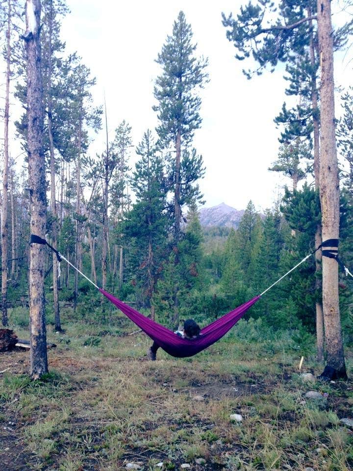 Camper submitted image from Pettit Lake Campground - 5
