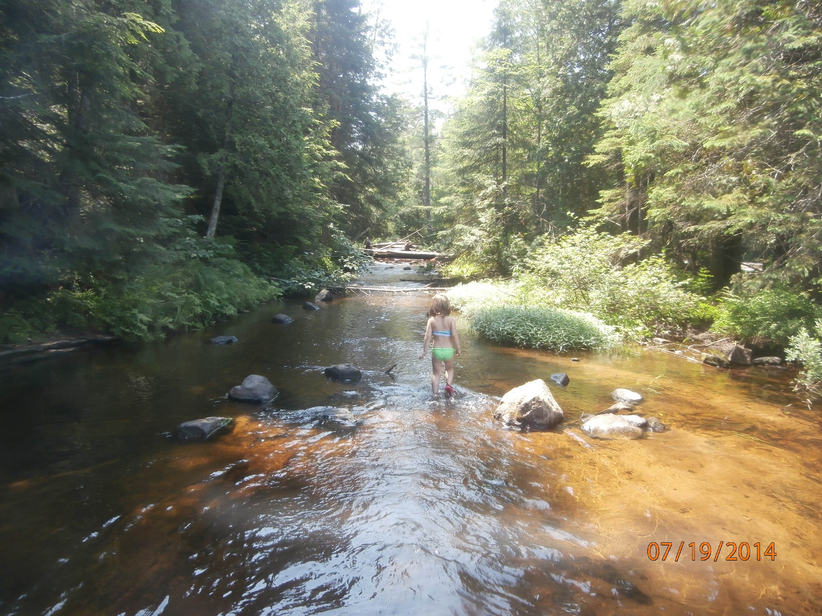 Nature