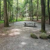 Review photo of Desoto Falls by A Lane in the Woods , May 10, 2017