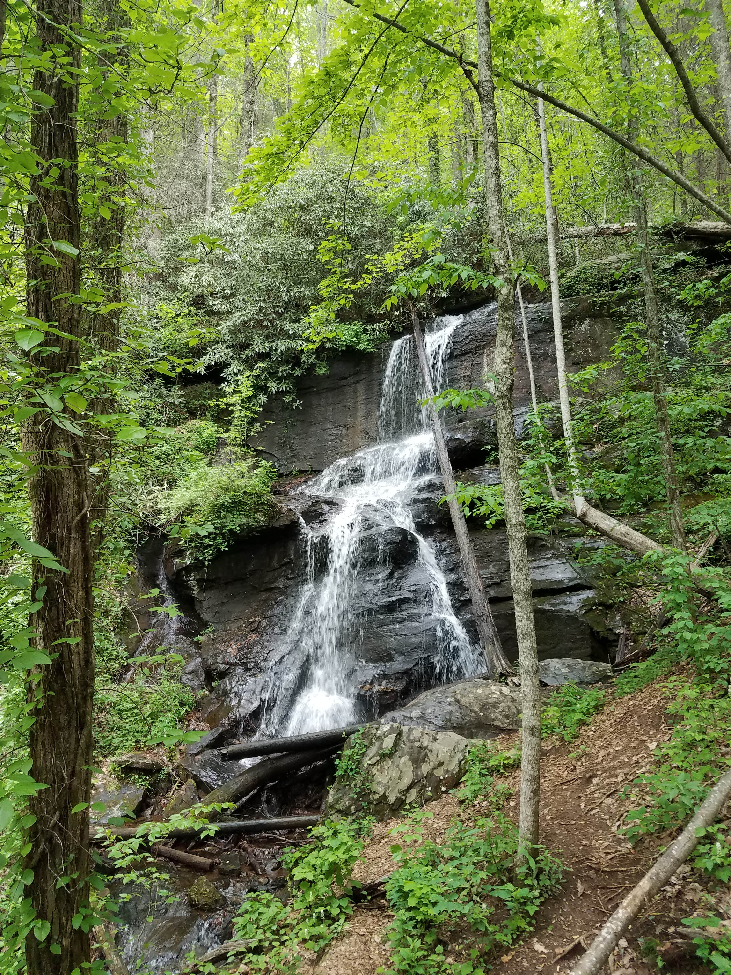 Camper-submitted photo at Desoto Falls near Dahlonega, GA