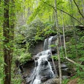 Review photo of Desoto Falls by A Lane in the Woods , May 10, 2017