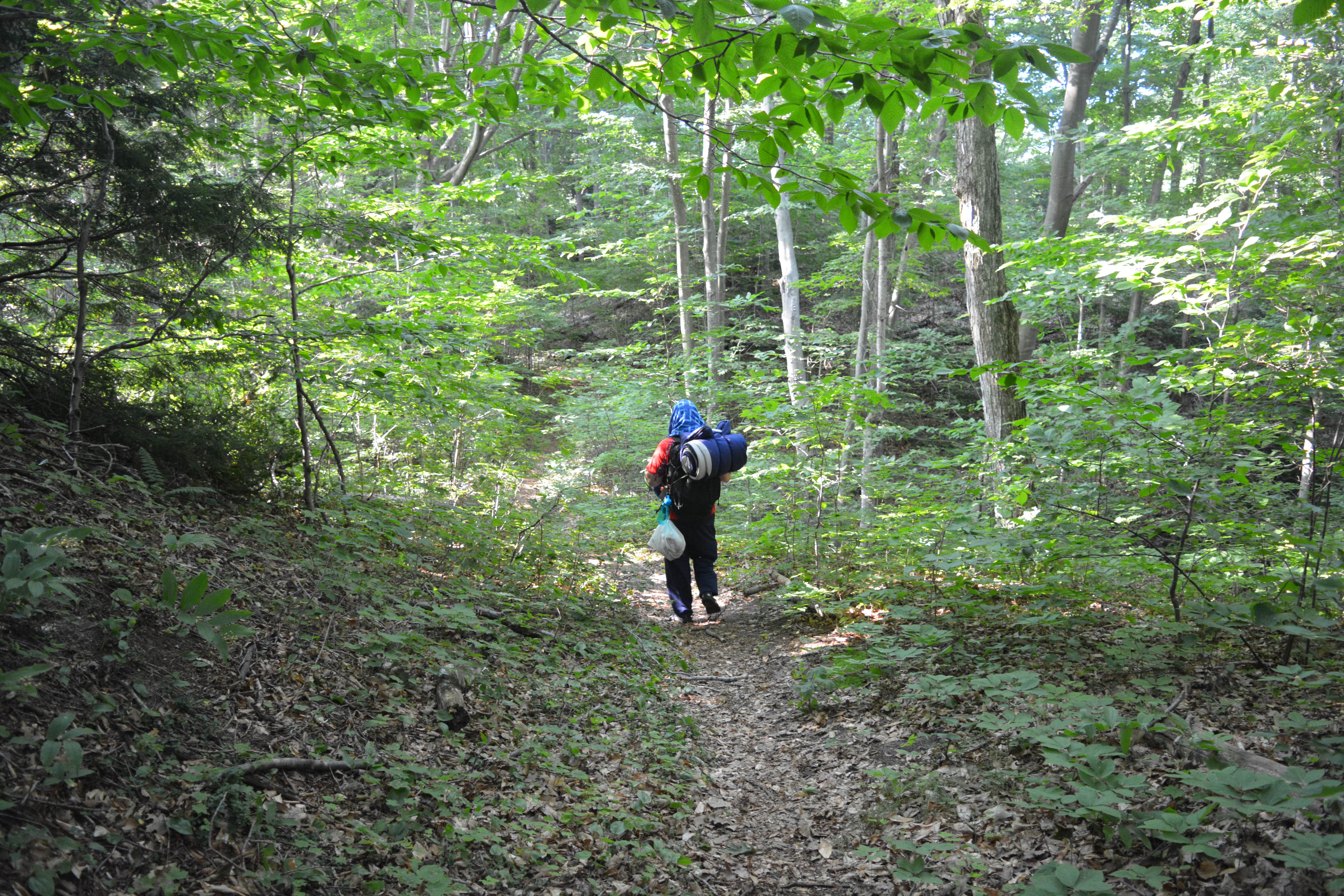 Camper submitted image from South Manitou Island Group - 5