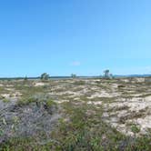 Review photo of South Manitou Island Group by Nona A., May 10, 2017
