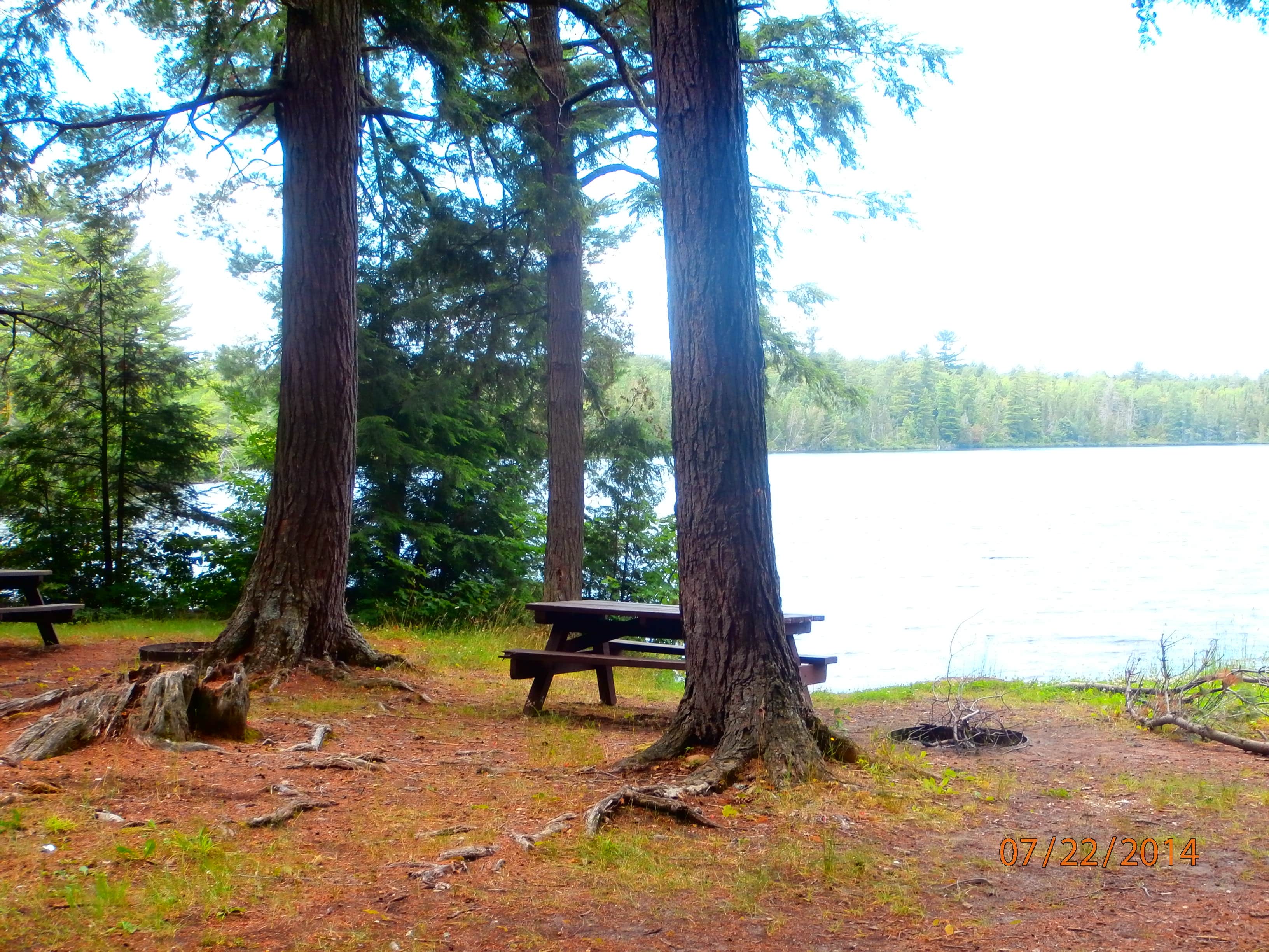Camper submitted image from Canoe Lake State Forest Campground - 1