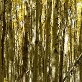 Review photo of Cascade (colorado) by Evan W., May 10, 2017